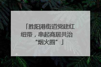 胜阳港街道党建红纽带，串起商居共治 “烟火圈”