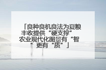 良种良机良法为夏粮丰收提供“硬支撑” 农业现代化图景有“智”更有“质”