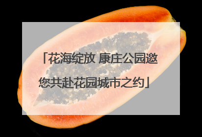 花海绽放 康庄公园邀您共赴花园城市之约