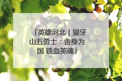 英雄河北｜狼牙山五勇士：舍身为国 铁血英魂