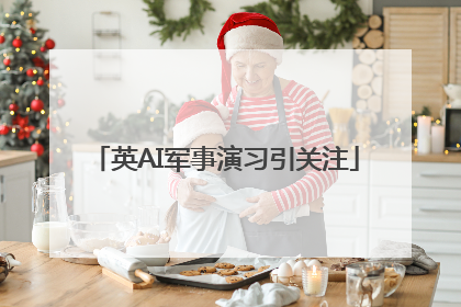 英AI军事演习引关注
