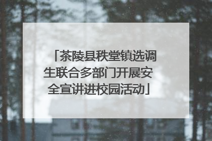 茶陵县秩堂镇选调生联合多部门开展安全宣讲进校园活动