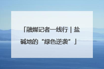 融媒记者一线行｜盐碱地的“绿色逆袭”
