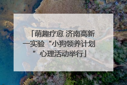 萌趣疗愈 济南高新一实验“小狗领养计划”心理活动举行