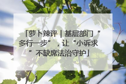萝卜辣评｜基层部门“多行一步”，让“小诉求”不缺席法治守护