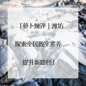 萝卜辣评｜潍坊探索全民数字素养提升新路径