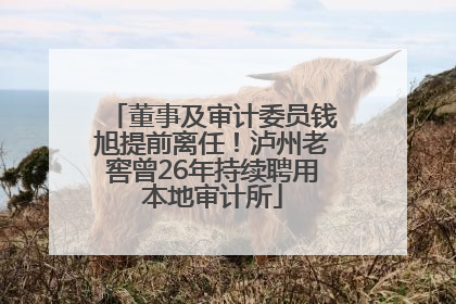 董事及审计委员钱旭提前离任！泸州老窖曾26年持续聘用本地审计所