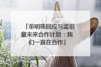 董明珠回应与孟羽童未来合作计划：我们一直在合作
