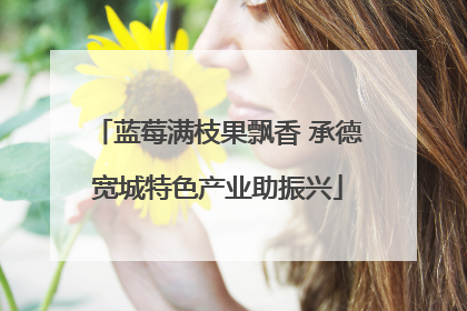 蓝莓满枝果飘香 承德宽城特色产业助振兴