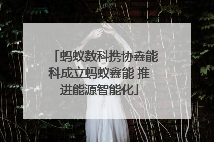 蚂蚁数科携协鑫能科成立蚂蚁鑫能 推进能源智能化
