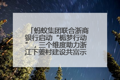 蚂蚁集团联合浙商银行启动“栀梦行动”，三个维度助力浙江下姜村建设共富示范区示范点