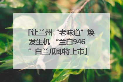 让兰州“老味道”焕发生机 “兰白946”白兰瓜即将上市