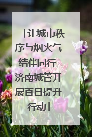 让城市秩序与烟火气结伴同行 济南城管开展百日提升行动