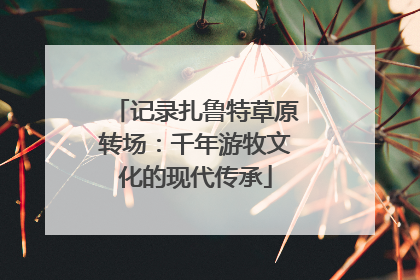 记录扎鲁特草原转场：千年游牧文化的现代传承