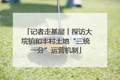 记者走基层丨探访大垸镇和丰村土地“三统一分”运营机制