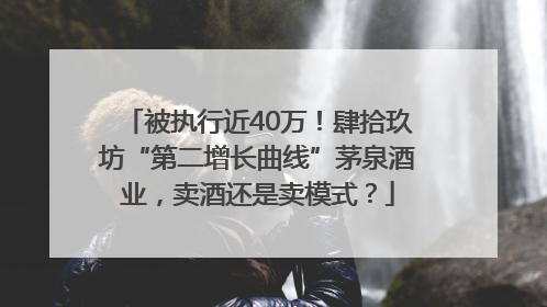 被执行近40万！肆拾玖坊“第二增长曲线”茅泉酒业，卖酒还是卖模式？