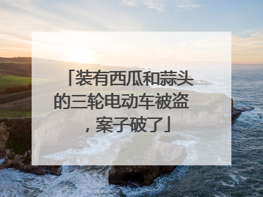 装有西瓜和蒜头的三轮电动车被盗，案子破了