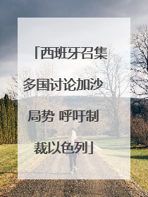 西班牙召集多国讨论加沙局势 呼吁制裁以色列