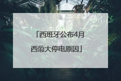 西班牙公布4月西葡大停电原因