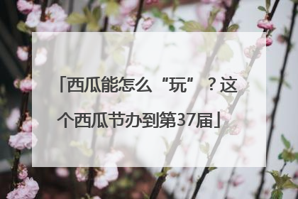 西瓜能怎么“玩”？这个西瓜节办到第37届
