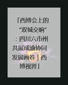 西博会上的“双城交响”：四川六市州共展成渝协同发展画卷｜西博视界