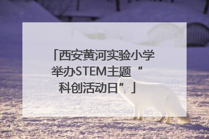 西安黄河实验小学举办STEM主题“科创活动日”