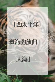 西太平洋斑海豹放归大海