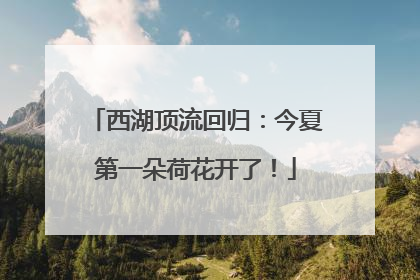 西湖顶流回归：今夏第一朵荷花开了！