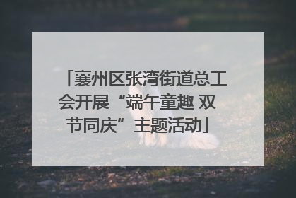 襄州区张湾街道总工会开展“端午童趣 双节同庆”主题活动