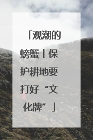 观潮的螃蟹丨保护耕地要打好“文化牌”