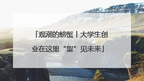 观潮的螃蟹丨大学生创业在这里“望”见未来