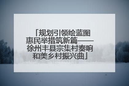规划引领绘蓝图 惠民举措筑新篇——徐州丰县宗集村奏响和美乡村振兴曲