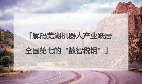 解码芜湖机器人产业跃居全国第七的“数智税钥”