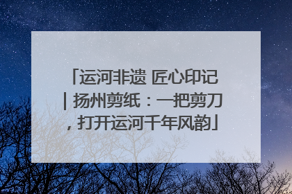 运河非遗 匠心印记｜扬州剪纸：一把剪刀，打开运河千年风韵