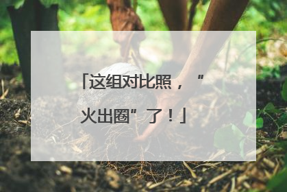 这组对比照，“火出圈”了！