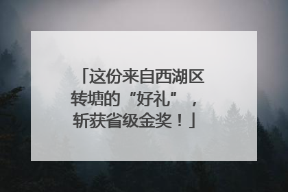 这份来自西湖区转塘的“好礼”，斩获省级金奖！
