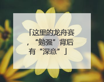 这里的龙舟赛，“勉强”背后有“深意”