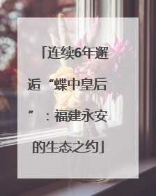 连续6年邂逅“蝶中皇后”：福建永安的生态之约
