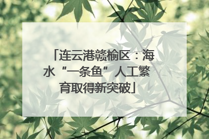 连云港赣榆区：海水“一条鱼”人工繁育取得新突破