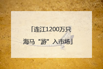 连江1200万只海马“游”入市场
