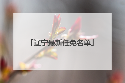 辽宁最新任免名单