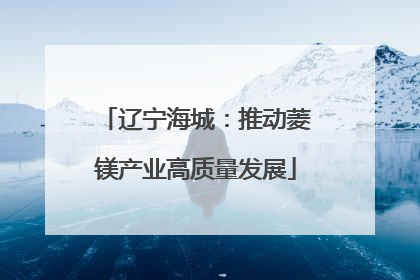 辽宁海城：推动菱镁产业高质量发展