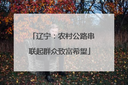 辽宁：农村公路串联起群众致富希望