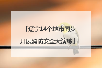 辽宁14个地市同步开展消防安全大演练