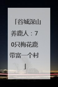 谷城深山养鹿人：70只梅花鹿带富一个村