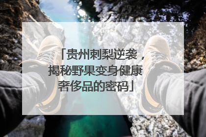 贵州刺梨逆袭，揭秘野果变身健康奢侈品的密码