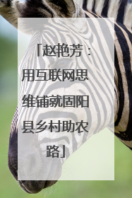 赵艳芳：用互联网思维铺就固阳县乡村助农路