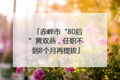 赤峰市“80后”黄双燕，任职不到8个月再提拔