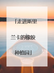 走进斯里兰卡的橡胶种植园