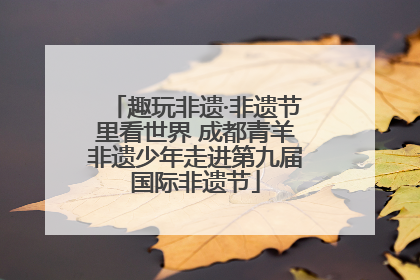 趣玩非遗·非遗节里看世界 成都青羊非遗少年走进第九届国际非遗节